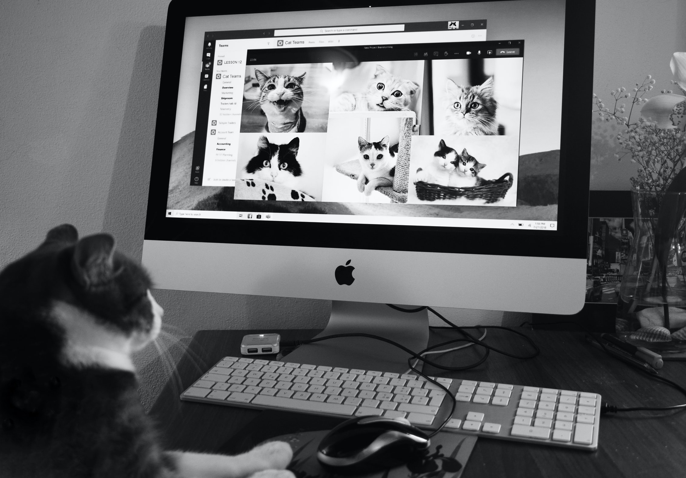 Managing Remote Teams: The Challenges and How to Overcome Them